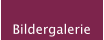 Bildergalerie